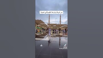 #سورة_الفتح #المدينة_المنورة #راحة_نفسية #المسجد_النبوي