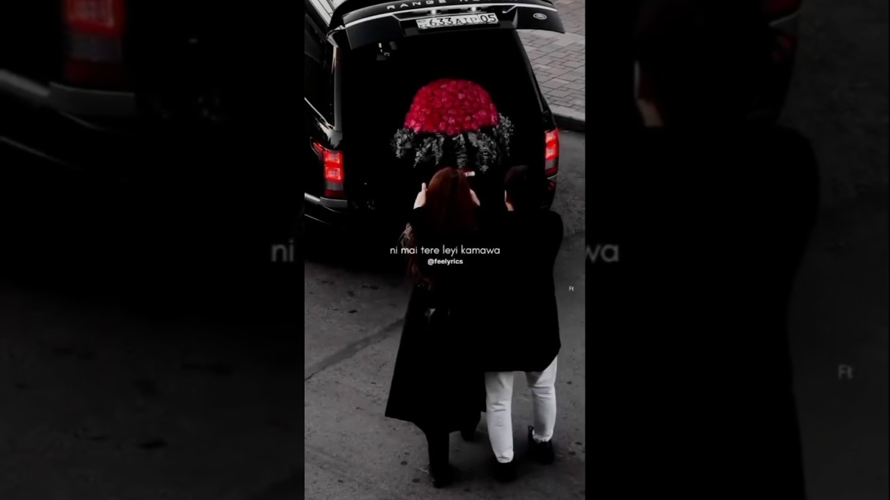 Backbone✌️💞Punjabi Aesthetic Status | Music Lover | Status Video 