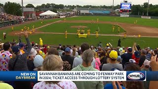 Savannah Bananas coming to Boston