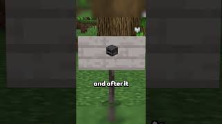 How to Make Emojis on Signs in Minecraft