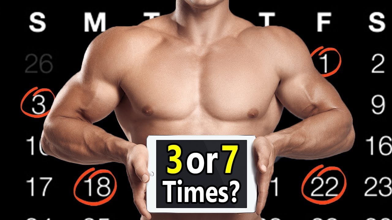 How Many Times Should I Bench A Week Jefflynchdesign