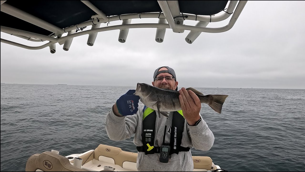 Ep3 – 4th of July Greeat Fishing for Sand Bass at Izors Reef!