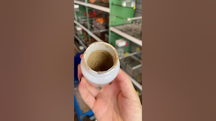 First Day of Bird Cleaning - Preventing Internal Parasites like Worms, Nematodes, and...