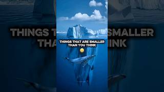 Things That Are Smaller Than You Think