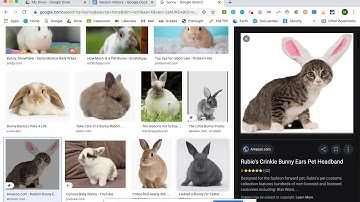 Daily Tech Tip #33:  Using Version History in Google Apps Files