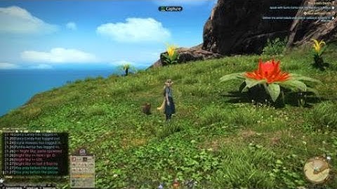 FINAL FANTASY XIV Island Sanctuary - Paissa