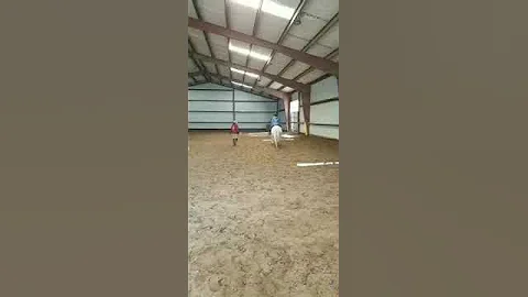 Morgan trotting with Evie