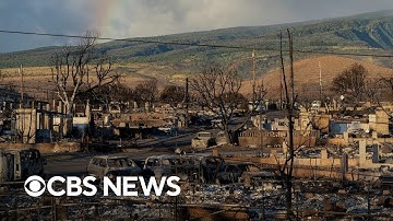 Hawaii wildfire recovery complicated by state of remains