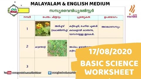 Kite Victers First Bell | Basic Science Worksheet | Standard 5 |