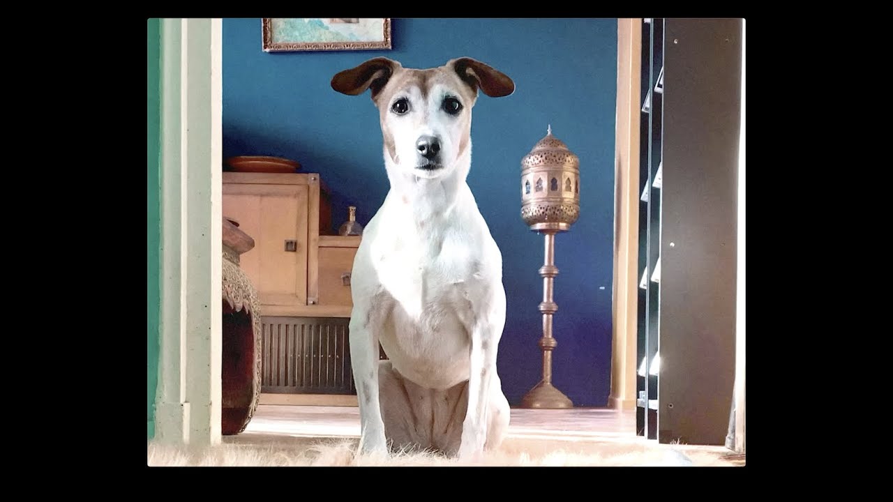 Murkinbone - Second place