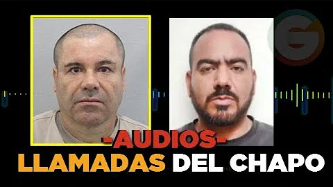 Audios de las llamadas del Chapo y El Cholo Iván #JuicioChapo