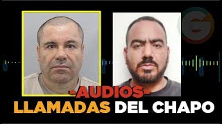 Audios de las llamadas del Chapo y El Cholo Iván #JuicioChapo