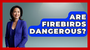 Are Firebirds Dangerous? - Inside the Supernatural