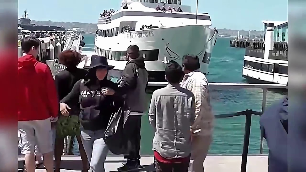 yacht fail videos