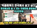 [해외반응] 한국에서만 볼 수 있는 최첨단 전광판에 환장하는 외국인반응 // "죽을 때 까지 한국에서 살고 싶다...: