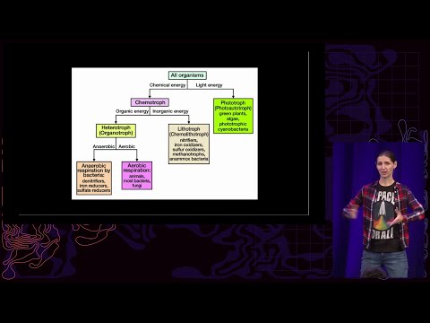 38C3 deu - Microbes vs. Mars: A Hacker's Guide to Finding Alien Life - 38C3 deu - Microbes vs. Mars: A Hacker's Guide to Finding Alien Life