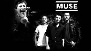 Muse Falling down Acoustic