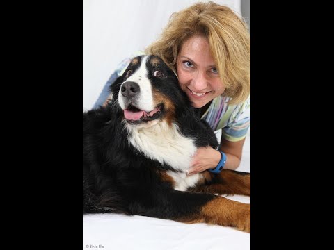 Video: Trattamento di filaria per cani: cosa devi sapere