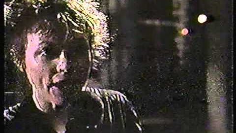 Laurie Anderson - Love is a Virus from Space (Version)