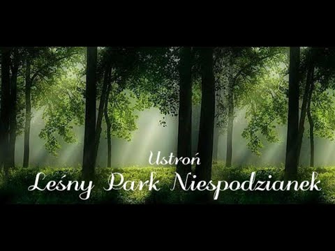 Wideo: Park leśny Troparevsky, jego historia i nowoczesny wygląd