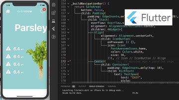Flutter - Parallax / practice day 40