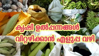കാർഷിക വിപണി Organic Agricultural Market | Karshika Vipani Krishi Lokam