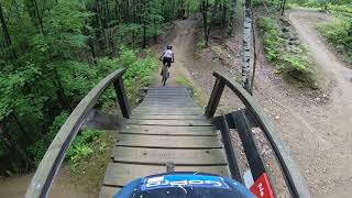 First Run on Fancy Feast on the DH