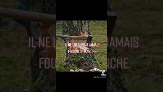 ✔parole #motivation motivation.....si l'arbre #viral #citation