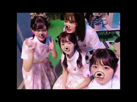 乃木坂46 755 スイカ 西野七瀬 斉藤優里 伊藤かりん 川後陽菜