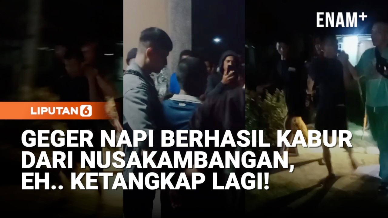 Geger Napi Berhasil Kabur Dari Nusakambangan, Eh.. Ketangkap Lagi! | Liputan6