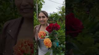 ¿Alguna vez has cosechado tus propias flores o prefieres comprarlas? #cajamarca