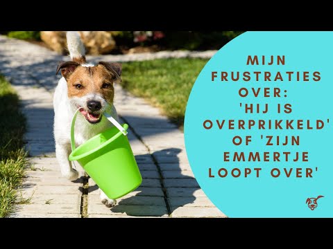 Video: Myeline-tekort Bij Honden