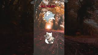 Rivals Has a Problem… #roblox #robloxrant #rivals