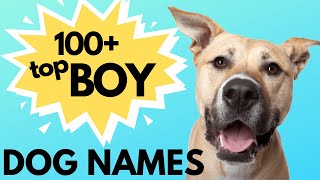 Top 100 Unique MALE Dog Names– Unusual Male Dog Names