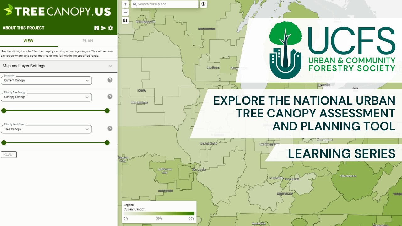 Mapping Urban Forests: Explore the National Urban Tree Canopy
