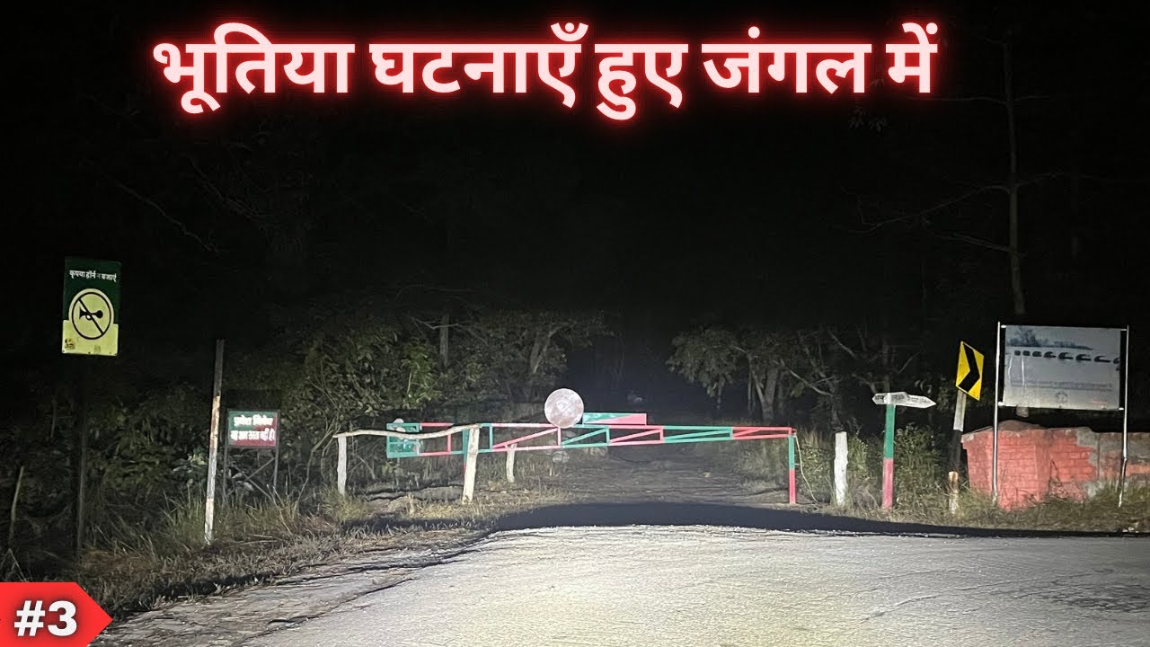 Paranormal Experience in Jungle | Night Drive Pilibhit Forest | Horror Experience | Wildlife Stories