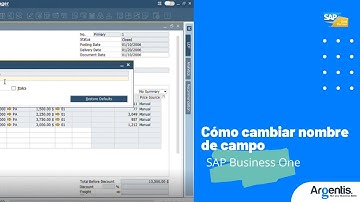 Cómo cambiar nombre de campos en SAP Business One | Rename the field on your screen