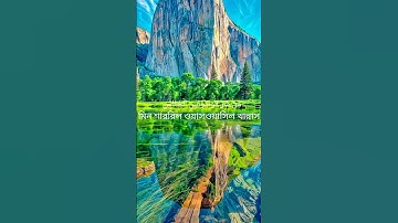 Surah An Nas | সূরা নাস | Surah Naas with Bangla Translation | سورة الناس | Quran Tilawat