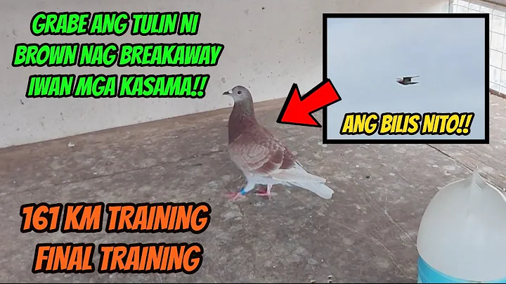 HULING TRAINING BAGO ANG PANIBAGONG LABAN - ANG TU...