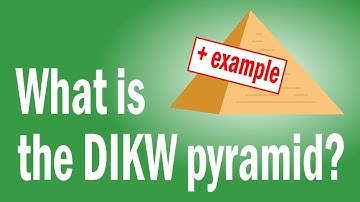 Wat is de DIKW-piramide? 🐫 + voorbeeld