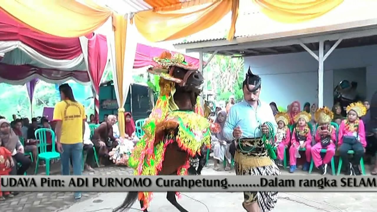 Kuda Tunggal Bina Budaya Live Papringan Marles Rukin
