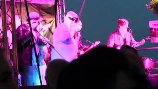 The Hillbilly  Troupe @ The Humber Street Sesh 2015