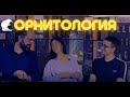 Подкаст Музей говорит! Орнитология, бёрдвотчинг и работа в музее