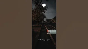 حالات واتس ياصور في الالبومات 
