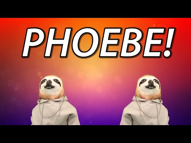 HAPPY BIRTHDAY PHOEBE! - SLOTH HAPPY BIRTHDAY RAP