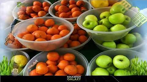 3rd Grade - Reading - Text Organization - Topic Overview