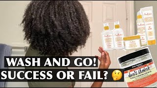First Attempt At A Wash And Go! Success Or Fail 🤔⁉️| BJ ANNA