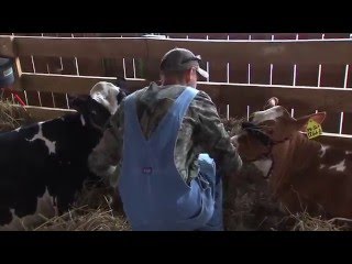 Agricultural Fair Opens on August 14 in Gaithersburg