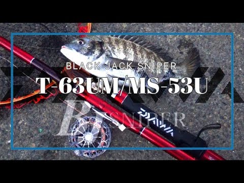 チヌ Bjスナイパー堺浜 前打ち 地方波止 黒鯛 櫻井英紀 田村哲生 Youtube チヌ Bjスナイパー堺浜 前打ち 地方波止 黒鯛 櫻井英紀 田村哲生 Youtube