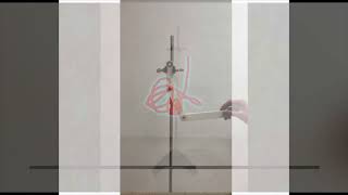 Physics Project: Double Pendulum